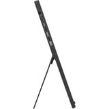 ASUS ZenScreen MB16NCG, LED-Monitor 40 cm (16 Zoll), schwarz, WQXGA, IPS, Mini-HDMI, USB-C, 155Hz Panel