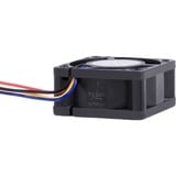 Alphacool ES 40mm 400-10.000rpm Fan 40x40x20mm, Gehäuselüfter schwarz, Two Ball Bearing, PWM