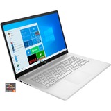 HP 17-cp0057ng, Notebook silber, Windows 10 Home 64-Bit