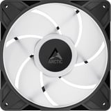 ARCTIC P14 Pro A-RGB, Gehäuselüfter schwarz, 3er Pack, 140 mm