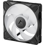 ARCTIC P14 Pro A-RGB, Gehäuselüfter schwarz, 3er Pack, 140 mm