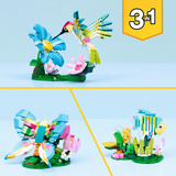 LEGO 31384 Creator 3-in-1 Wilde Tiere: Bunter Kolibri, Konstruktionsspielzeug 