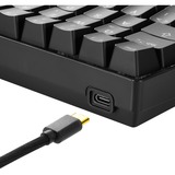 Sharkoon SKILLER SGK50 S4, Gaming-Tastatur schwarz, IT-Layout, Kailh Red