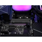 Corsair MP600 ELITE HS 2 TB, SSD schwarz, PCIe 4.0 x4, NVMe 2.0, M.2 2280 mit Kühlkörper