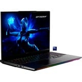 Medion ERAZER Beast 16 X1 Ultimate (MD62733), Gaming-Notebook schwarz, Intel® Core™ Ultra 9 275HX, NVIDIA GeForce RTX 5080, 32 GB DDR5, 2 TB (2 TB SSD), Windows 11 Home 64-Bit