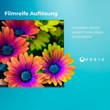 Toshiba 50UV2363DA, LED-Fernseher 126 cm (50 Zoll), schwarz, UltraHD/4K, Triple Tuner, SmartTV, VIDAA