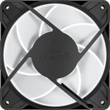 ARCTIC P12 Pro A-RGB LN, Gehäuselüfter schwarz, 3er Pack, 120 mm