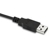 Kensington VeriMark Desktop 2.0 Fingerprint Key, USB-Stick schwarz, SDCP, Windows Hello