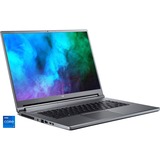 Acer Predator Triton 500 (PT516-51s-7600), Gaming-Notebook grau, Windows 11 Home 64-Bit, 165 Hz Display