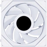 Lian Li UNI FAN TL120 LCD, Gehäuselüfter weiß, Reverse Blade, 124 mm