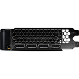 Palit GeForce RTX 5050 Dual OC 8GB, Grafikkarte DLSS 4, 3x DisplayPort, 1x HDMI 2.1