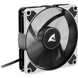 Sharkoon Sharkoon SilentStorm BW120 PWM Fan, Gehäuselüfter 120 mm
