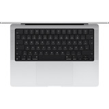 Apple MacBook Pro (14") 2024 CTO, Notebook silber, 36 GB, 1 TB (1 TB SSD), M4 Max, MacOS, Amerikanisch