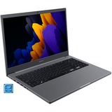 SAMSUNG Notebook Plus 2 grau, Windows 11 Pro 64-Bit