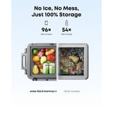 Anker SOLIX EverFrost 2 58L, Kühlbox grau/schwarz, mit 2 Akkus