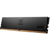 Team Group DIMM 96 GB DDR5-6000 (4x 24 GB) Quad-Kit ECC, Arbeitsspeicher schwarz, CTCMD596G6000HC32AQC01, T-CREATE MASTER, Registred, INTEL XMP
