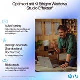 HP OmniBook Ultra 14-fd0094ng, Notebook silber, AMD Ryzen AI 9 365, AMD Radeon 880M, 16 GB LPDDR5X, 1 TB (1 TB SSD), Windows 11 Home 64-Bit