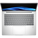 HP ProBook 4 G1i (AD2N5ET), Notebook silber, Intel® Core™ Ultra 7 255U, AMD Radeon 780M, 24 GB DDR5, 512 GB (512 GB SSD), Windows 11 Pro