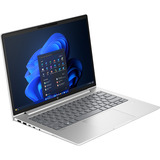 HP ProBook 4 G1i (AD2N5ET), Notebook silber, Intel® Core™ Ultra 7 255U, AMD Radeon 780M, 24 GB DDR5, 512 GB (512 GB SSD), Windows 11 Pro