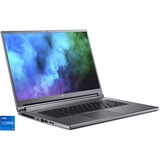 Acer Predator Triton 500 SE (PT516-51s-71M8), Gaming-Notebook grau, Windows 11 Home 64-Bit, 165 Hz Display