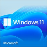 Microsoft Windows 11 OEM, Betriebssystem-Software Mehrsprachig