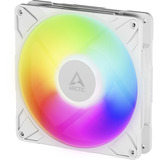 ARCTIC P14 Pro A-RGB, Gehäuselüfter weiß, 140 mm