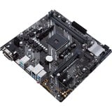 ASUS PRIME B450M-K II, Mainboard 