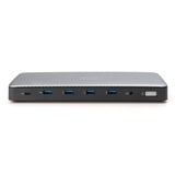 Digitus 13 Port USB-C Docking Station, Dockingstation grau/schwarz