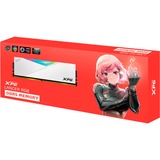 ADATA DIMM 32 GB DDR5-5600  , Arbeitsspeicher weiß, AX5U5600C3632G-CLARWH, Lancer RGB, INTEL XMP