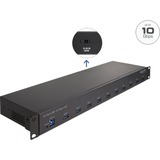 DeLOCK 19″ Industrie Hub 10 x USB 10 Gbps Typ-A 