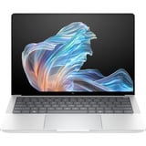 HP EliteBook X G1a (B69BHET), Notebook silber, AMD Ryzen AI 9 HX PRO 375, AMD Radeon 890M, 64 GB LPDDR5X, 2 TB (2 TB SSD), Windows 11 Pro