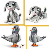 LEGO 31163 Creator 3-in-1 Graue Katze, Konstruktionsspielzeug 