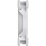 Thermaltake Riing Quad 12 RGB Radiator Fan TT Premium Edition Single Fan Pack - White, Gehäuselüfter weiß, Single Pack, ohne Controller, 120 mm