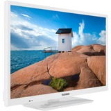 Telefunken XH24SN550MV-W, LED-Fernseher 60 cm(24 Zoll), weiß, WXGA, Triple Tuner, HDR