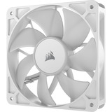Corsair RS120 ARGB, Gehäuselüfter weiß, 120 mm