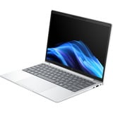 HP EliteBook 8 G1a (AD3E3ET), Notebook silber, AMD Ryzen 5 230, AMD Radeon 760M, 16 GB LPDDR5X, 512 GB (512 GB SSD), Windows 11 Pro
