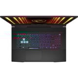 MSI Katana 17 HX B14WGK-240, Gaming-Notebook schwarz, Intel® Core™ i7-14650HX, NVIDIA GeForce RTX 5070, 16 GB DDR5, 1 TB (1 TB SSD), Ohne Betriebssystem
