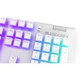 ENDORFY Omnis Pudding Onyx White, Gaming-Tastatur weiß, DE-Layout, Kailh RGB Brown