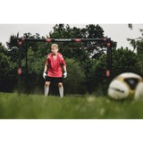 HUDORA Fußballtor Pro Tect 240 