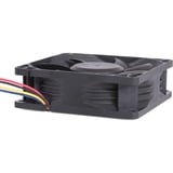 Alphacool ES 80mm 800-6.000rpm Fan 80x80x25mm, Gehäuselüfter schwarz, Two Ball Bearing, PWM, 80 mm