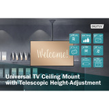 Digitus Universelle TV-Deckenhalterung mit Teleskop-Höhenverstellung schwarz, für Flat- und Curved Displays bis 177,8 mc (70")