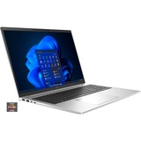 HP EliteBook 865 G9 (6F6H5EA), Notebook silber, Windows 11 Pro 64-Bit, 512 GB SSD