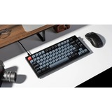 Keychron V1 Knob, Gaming-Tastatur schwarz/blaugrau, DE-Layout, Keychron K Pro Red, Hot-Swap, RGB, PBT