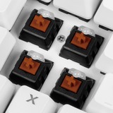 Sharkoon SKILLER SGK3 White, Gaming-Tastatur weiß, ES-Layout, Kailh Red