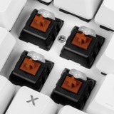 Sharkoon SKILLER SGK3 White, Gaming-Tastatur weiß, ES-Layout, Kailh Red