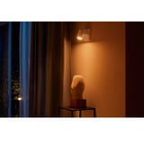 Philips Hue White & Color Ambiance Argenta Einzelspot, Leuchte weiß