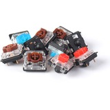 Keychron Gateron Low Profile Mechanical Brown Switch-Set, Tastenschalter braun/transparent, 110 Stück