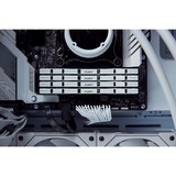 Kingston FURY DIMM 32 GB DDR5-7200 (2x 16 GB) Dual-Kit, Arbeitsspeicher weiß, KF572C38RWK2-32, Renegade, INTEL XMP