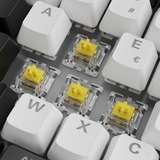 Sharkoon SKILLER SGK50 S3, Gaming-Tastatur weiß, FR-Layout, Gateron Yellow