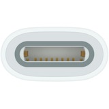 Apple USB Adapter, USB-C Buchse > Apple Pencil Buchse weiß